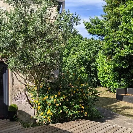 Nicely Renovated Wine-grower House Air-conditioned
