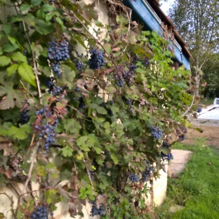 Nicely Renovated Wine-grower House Air-conditioned Casa vacanze